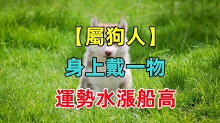 【屬狗終身吉祥物】屬狗人身上戴一物，運勢水漲船高，財富不差錢！ [upl. by Zahc]