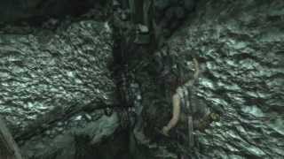 Tomb Raider  Gameplay Walkthrough Part 33 Entering The Ancient Tomb [upl. by Jeu251]