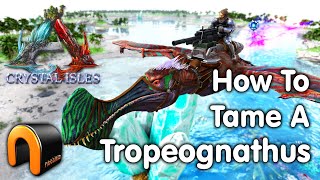 Ark HOW TO TAME A TROPEOGNATHUS Jet Fighter [upl. by Leaper757]