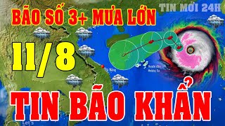 Dự báo thời tiết hôm nay mới nhất ngày 118 Dự báo thời tiết 3 ngày tớithờitiết [upl. by Leclair]