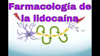 Farmacología de la lidocaína y otros anestésicos locales [upl. by Sammer]