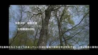 北里大学 獣医学部 生物環境科学科紹介 [upl. by Seafowl36]