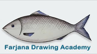 How to draw a fish step by step very easy [upl. by Neddra643]