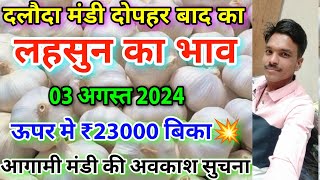 दलौदा मंडी दोपहर बाद का लहसुन का भाव 3 अगस्त 2024 garlic rate today daloda Mandiaaj ka lahsun bhav [upl. by Ellehc690]