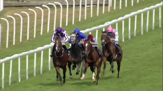 KINGMAN is all class in the 2014 QIPCO Sussex Stakes at Glorious Goodwood  Racing TV [upl. by Maxim]