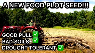 THE BEST NEW FOOD PLOT YOU HAVE NEVER HEARD OF [upl. by Loftus]