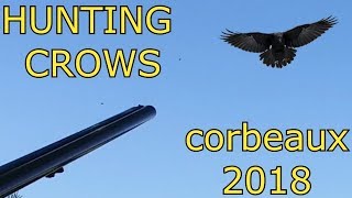 CROW SHOOTING ou TIR DE CORBEAUX ET CORNEILLES 2018 [upl. by Nyletac]