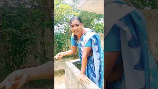 Wait for End 😂😂 youtubeshorts comedy trendingshorts viralvideo telugu funnyvideo [upl. by Llahsram217]