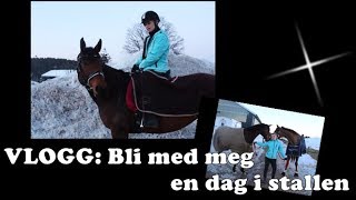 Vlogg Bli med meg i stallen [upl. by Quiteri]