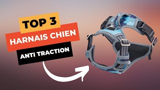 🔥 TOP 3  Meilleur Harnais Chien Anti Traction 2023 [upl. by Llenrahc]