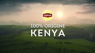 Nouveau Lipton Yellow Label 100 Origine Kenya  20sec [upl. by Gardell]