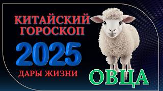 ОВЦА 2025  КИТАЙСКИЙ ГОРОСКОП НА 2025 ГОДА [upl. by Eanrahs831]