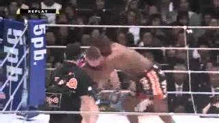 Alistair Overeem vs Todd Duffee [upl. by Rabma]