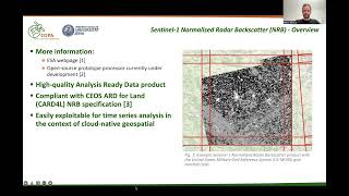 Implementing STAC to achieve onthefly Sentinel1 NRB data cubes [upl. by Amieva]