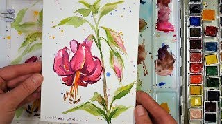 How to Paint a Day Lily Loose style real time watercolor tutorial for beginners [upl. by Aicnarf344]