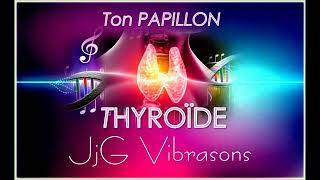 THYROÏDE amp GLANDE PINÉALE la SUPRÊME CHEF DORCHESTRE DES SYMPHONIES HORMONALES  Extrait [upl. by Wescott851]