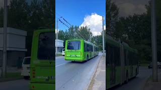 Kauno Autobusai Berkhof Premier AT18 055 in Eiguliai  trolleybus bus busmania publictransport [upl. by Florence]