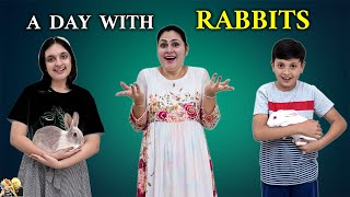 A DAY WITH RABBITS  Rabbits control our day for 24 hours  Surprise Gift  Aayu and Pihu Show [upl. by Delmor]