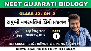 Sexual Reproduction in Flowering Plants  01  પુંકેસર  લઘુબીજાણુ જનન  Class  12 NEET  BIOLOGY [upl. by Neelrac]