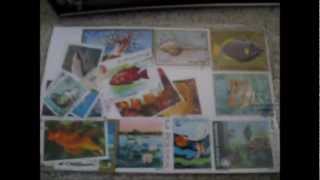 Intro to Stamp Collecting and How to Soak Used Stamps off of envelopes [upl. by Antin367]