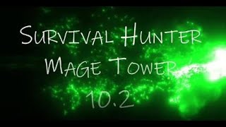 Survival Hunter  Mage Tower  Dragonflight [upl. by Christen]