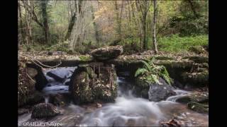 La Rochette  Donzenac Corrèze France  Novembre 2016 [upl. by Latyrc]