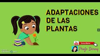 ADAPTACIONES DE LAS PLANTAS [upl. by Pepita]