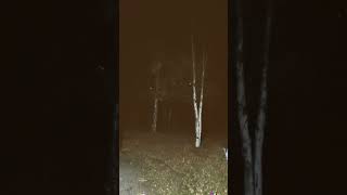 Definitely wind storming tonight here in Wasilla Alaska shortsfeed shorts wind storm [upl. by Neras]