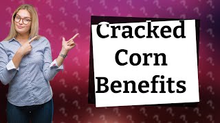 What is cracked corn used for [upl. by Tiphani]