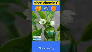 190mg Vitamin C Boost [upl. by Bathilda]