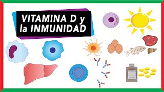 La Vitamina D y Sistema Inmunitario Mecanismos bioquímicos [upl. by Colbert602]