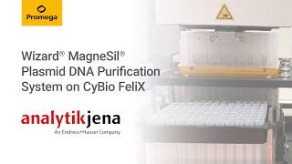 Wizard® MagneSil® Plasmid DNA Purification System on CyBio FeliX  FOG 2022 [upl. by Infeld]