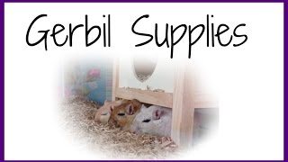 Gerbil Supplies amp What You Need [upl. by Niuqram]