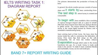 IELTS Writing Task 1  Diagram English Version [upl. by Lenhard]