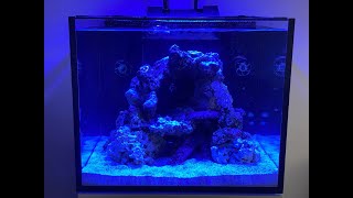 Red Sea Reefer 170 Aquarium Setup Reef Tank [upl. by Styles]