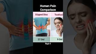 Human Pain Comparison Part 1 [upl. by Egief]