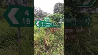 The Sound of Australian Bellbirds Calling near an Overgrown Road Sign [upl. by Wheaton296]