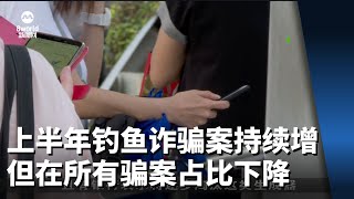 我国上半年钓鱼诈骗案持续增加 但在所有骗案占比有所下降 [upl. by Weisman]