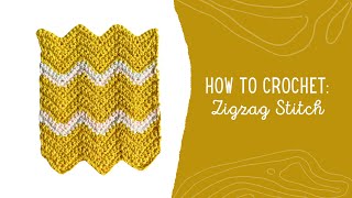 How to Crochet the Zigzag Stitch  Easy Crochet Tutorial For Beginners [upl. by Elleinod]