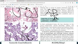 Chp13 Robbins Patho  Lung Pathology  Overiview of Obstructive vs Restrictive Lung Disorders [upl. by Bearnard]