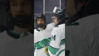 MENS ICE HOCKEY  SPORTS  ENDICOTT COLLEGE [upl. by Nileuqaj999]