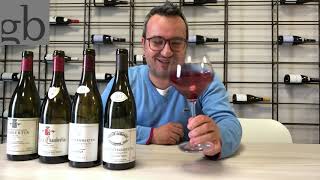 La genialità dei vini Gevrey Chambertin [upl. by Trik]