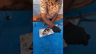 കേരത്തല വെട്ടിയാലോ shortsfeed fishingmalayalam malayalamfishingvideo fishing fishingshorts [upl. by Hannad]