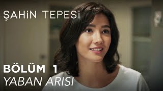 Şahin Tepesi 1 Bölüm  Yaban Arısı [upl. by Readus]