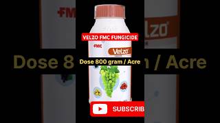 Velzo fungicide  FMC Velzo fungicide  velzo fmc fungicide  velzo [upl. by Ateuqahs]