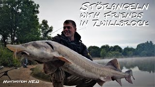 Störangeln with Friends in Zwillbrock 2012  White Sturgeon  BelugastörMOV [upl. by Yt]