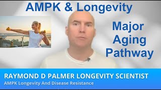 AMPK Longevity and Aging [upl. by Nnaeus]