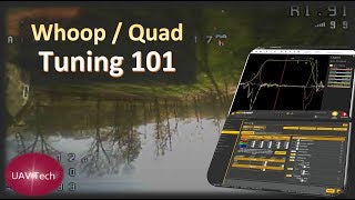 Whoop \ Quad Tuning 101  ANY SIZE  ANY FIRMWARE [upl. by Enhpad647]