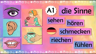 Deutschkurs A1 Die Sinne – fühlen hören sehen schmecken riechen Verben der Sinneswahrnehmung [upl. by Stine]