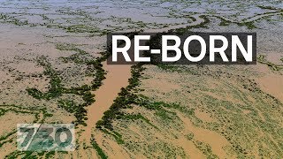 Lake Eyre’s biggest flood in nearly 50 years  730 [upl. by Heddie]